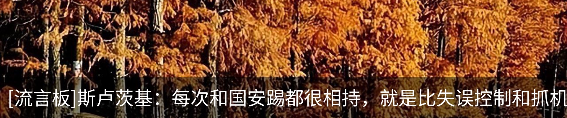 最新动态